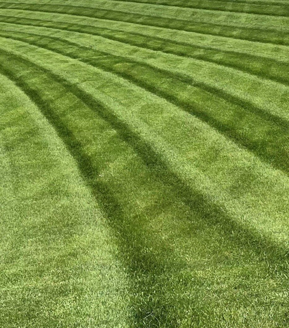 mow lines-1-1-1